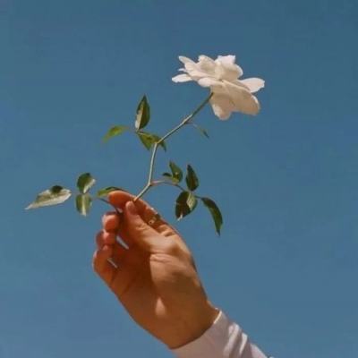 神彩争霸8下载手机版截图