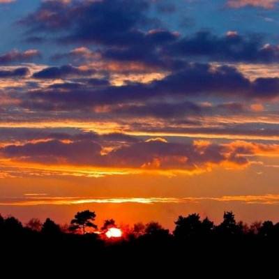 博鱼·综合体育APP下载安装